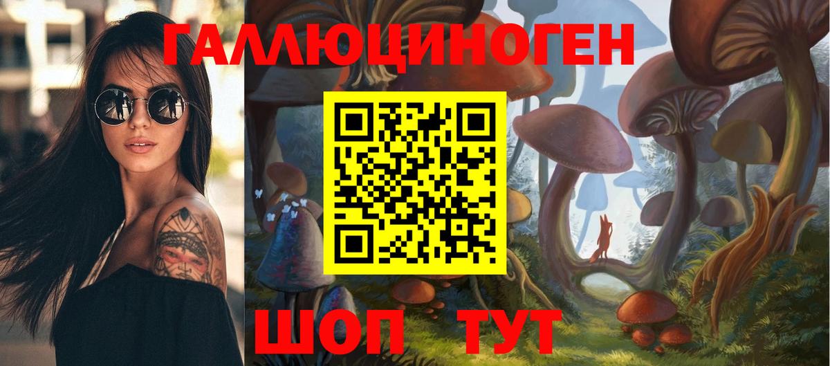 Псилоцибиновые грибы мицелий  купить наркотики сайты  Псилоцибиновые грибы ЛСД  Брянск  Вход с VPN 