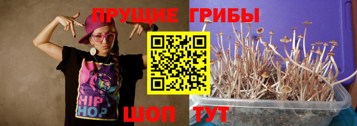 Галлюциногенные грибы прущие грибы Брянск